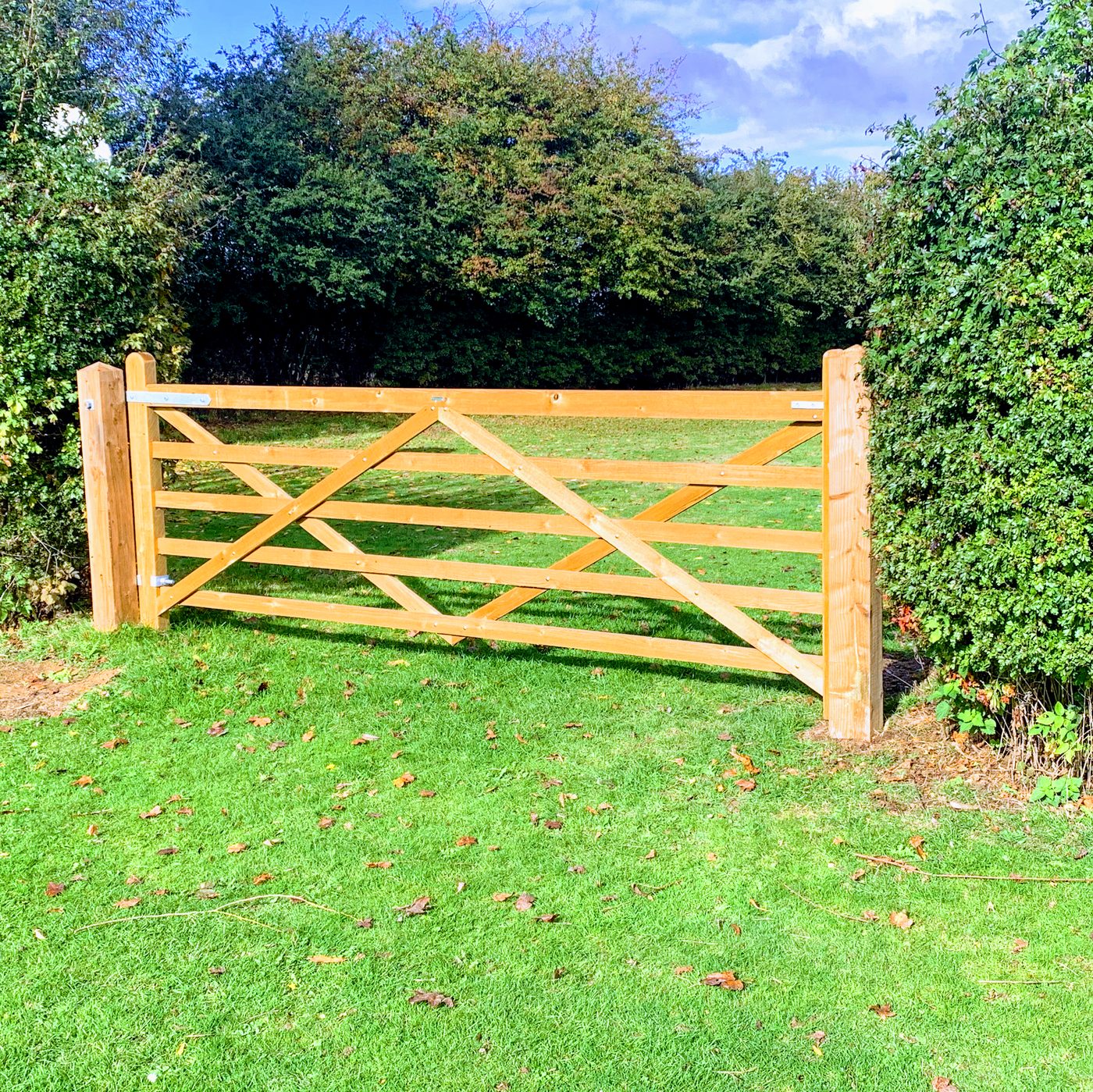 A new five-bar timber gate in a green garden beside a hedge